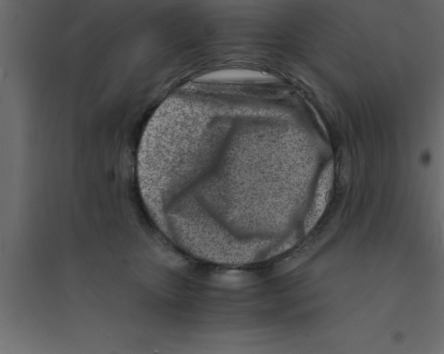 X0000094200467200711241641