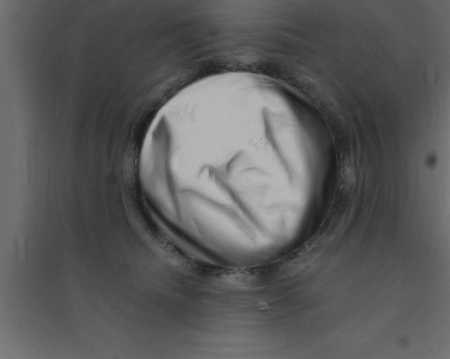 X0000094200468200711241641