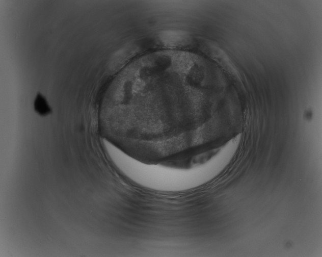 X0000094200471200711241641