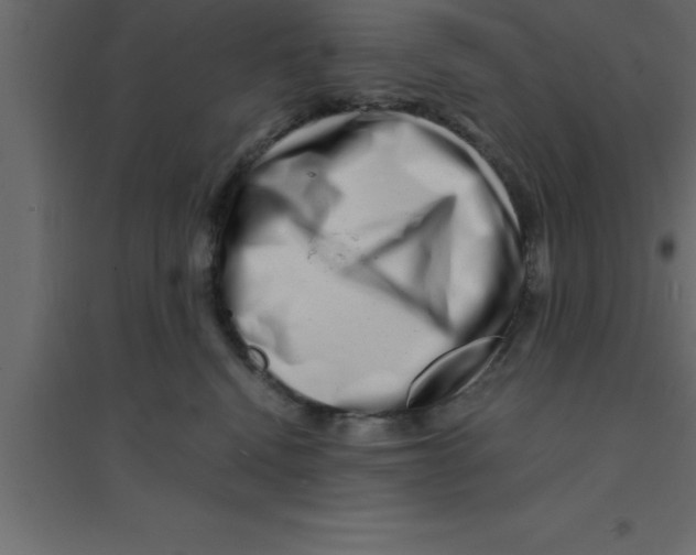 X0000094200472200711241641