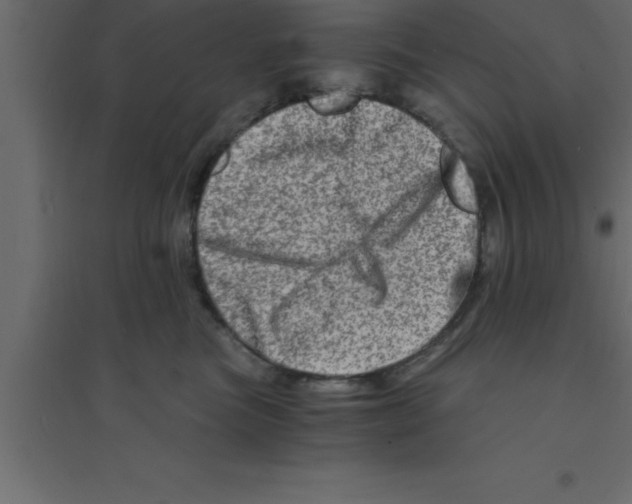 X0000094200473200711241641