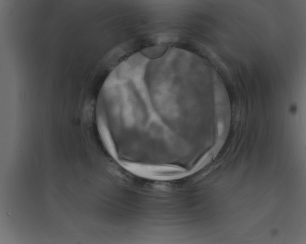 X0000094200475200711241641