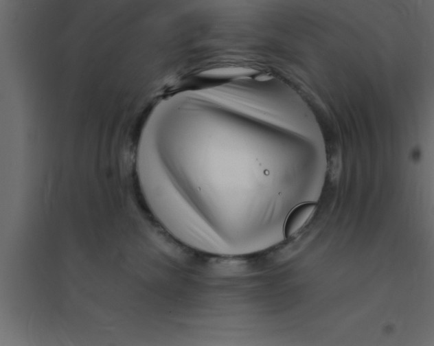 X0000094200476200711241641