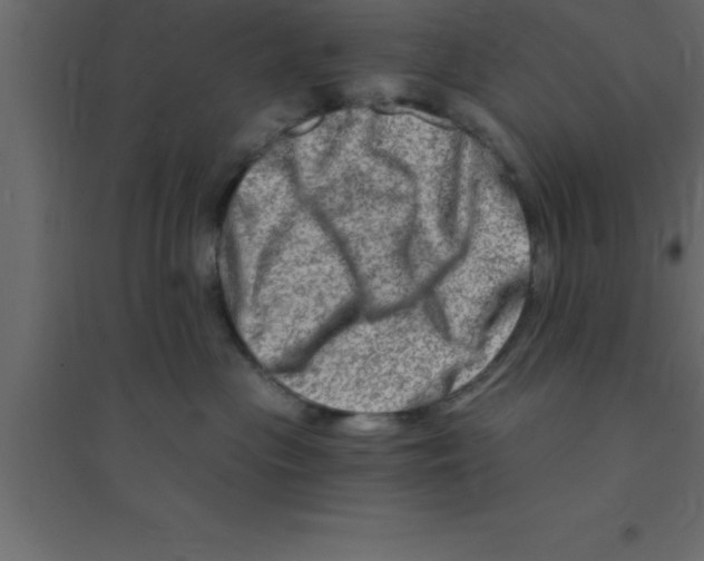 X0000094200477200711241641