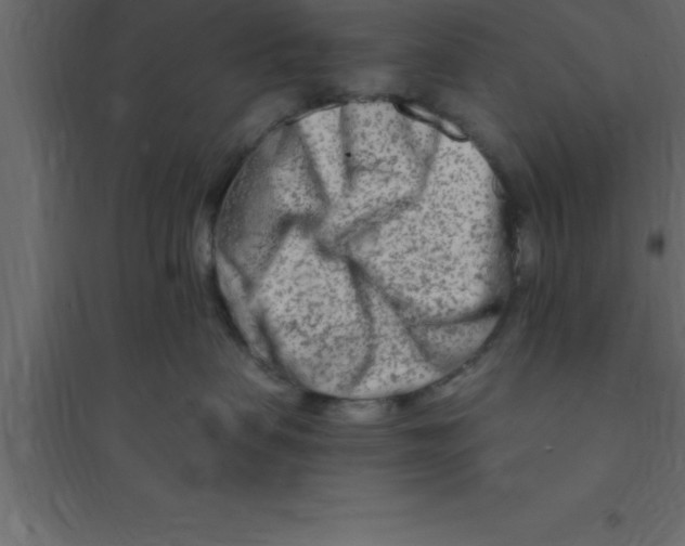 X0000094200479200711241641