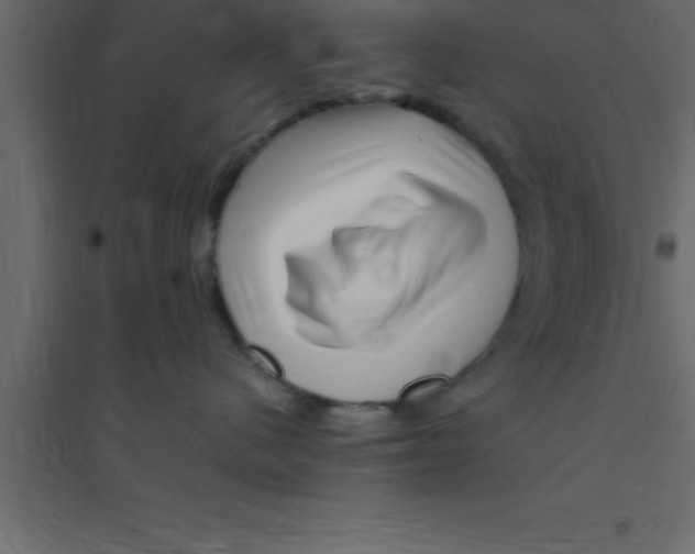 X0000094200480200711241641