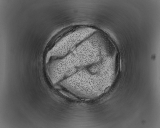 X0000094200483200711241641