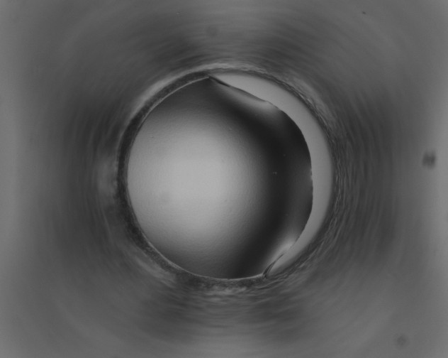 X0000094200484200711241641