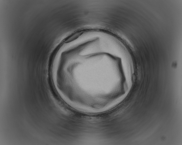 X0000094200486200711241640