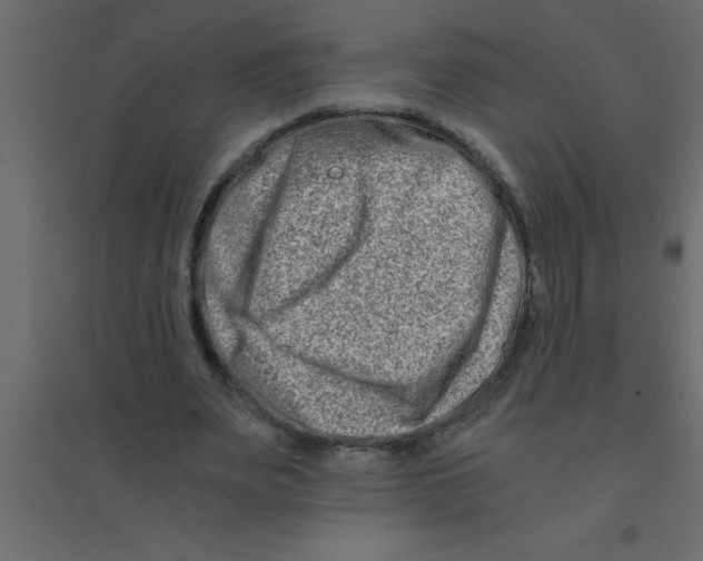X0000094200487200711241640
