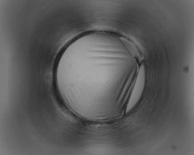 X0000094200488200711241640