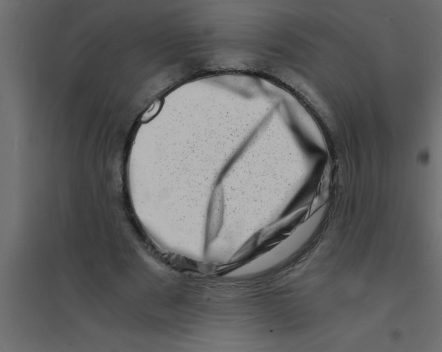 X0000094200489200711241640