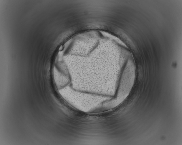 X0000094200490200711241640