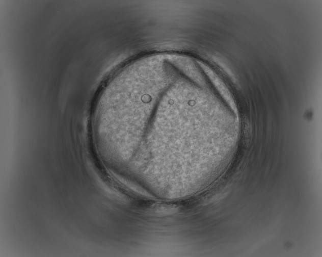 X0000094200491200711241640