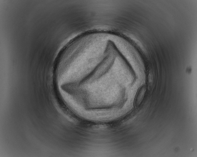 X0000094200492200711241640