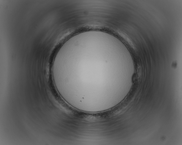 X0000094200494200711241640