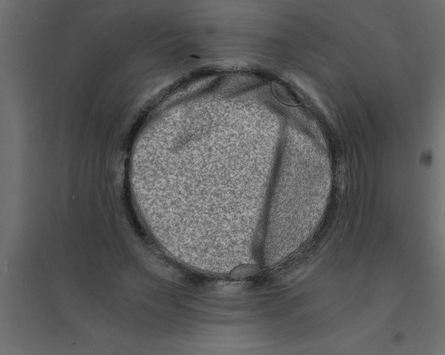 X0000094200495200711241640