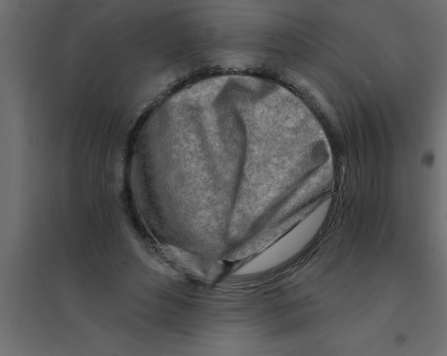 X0000094200496200711241640