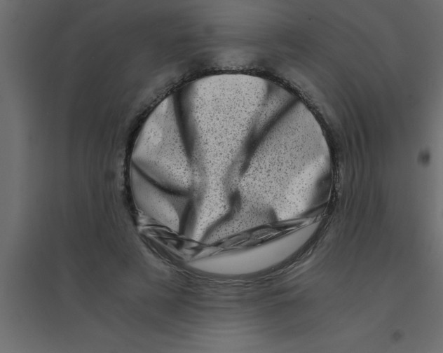 X0000094200497200711241640