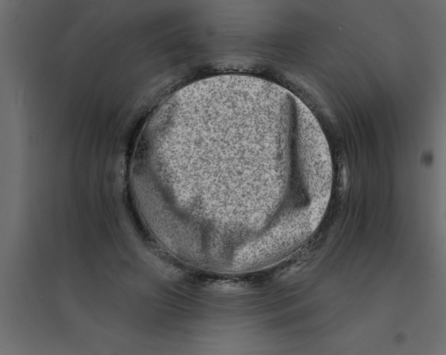 X0000094200498200711241640