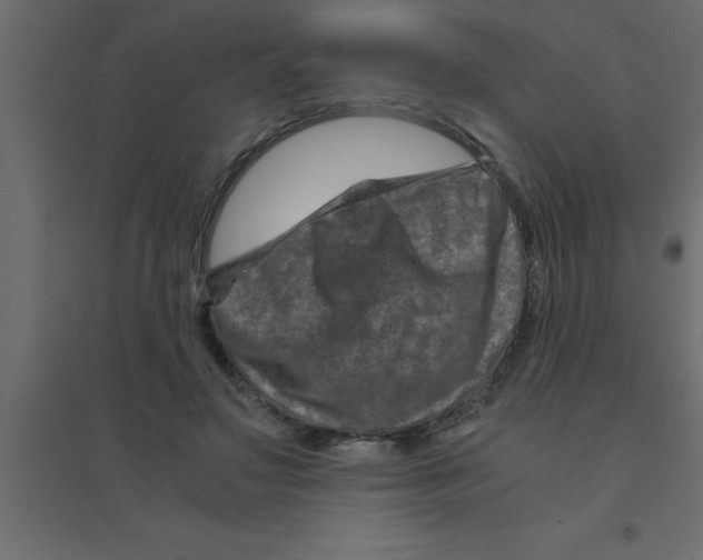 X0000094200499200711241640