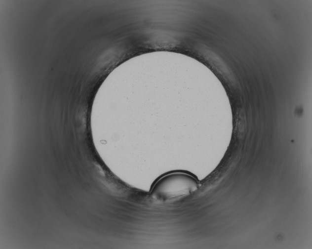 X0000094200501200711241640