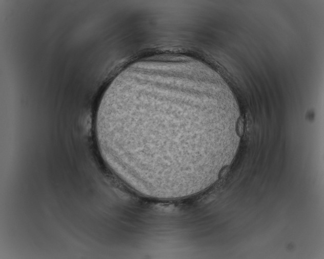 X0000094200502200711241640