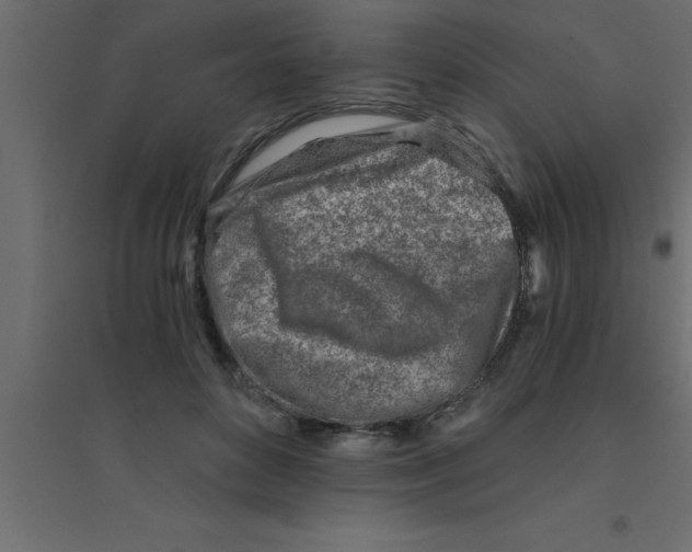 X0000094200504200711241640
