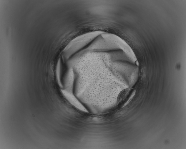 X0000094200506200711241640