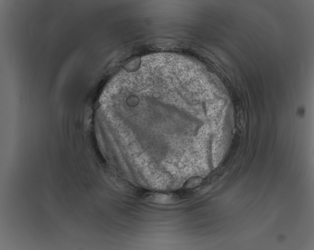 X0000094200507200711241640
