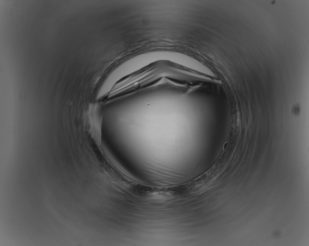X0000094200508200711241640