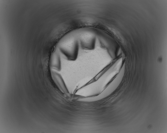 X0000094200509200711241640