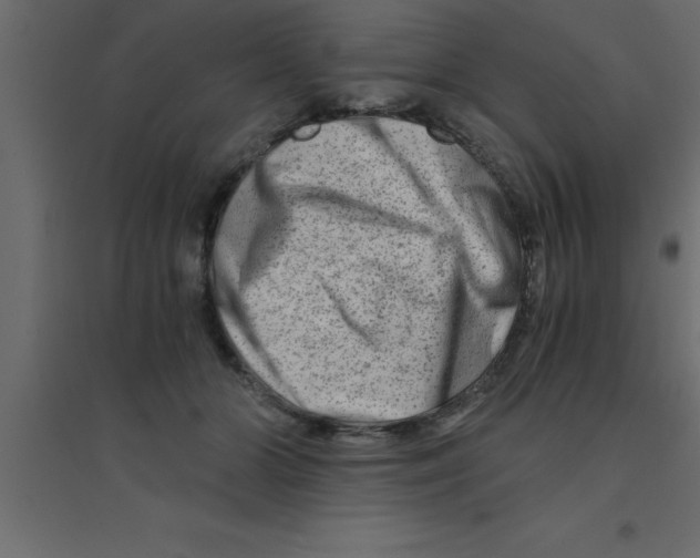 X0000094200510200711241640