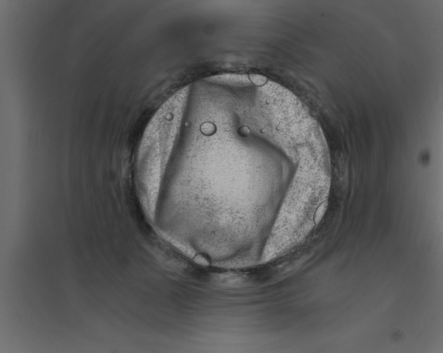 X0000094200511200711241640