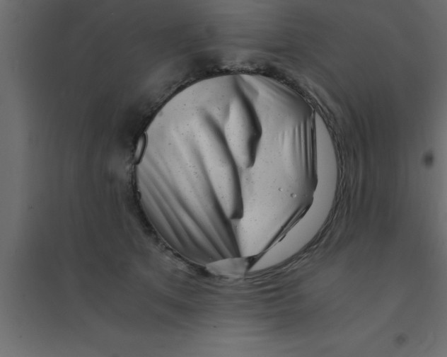 X0000094200513200711241640