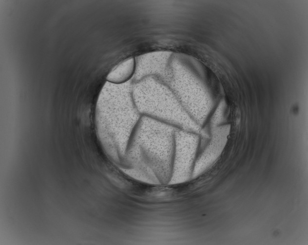 X0000094200514200711241640