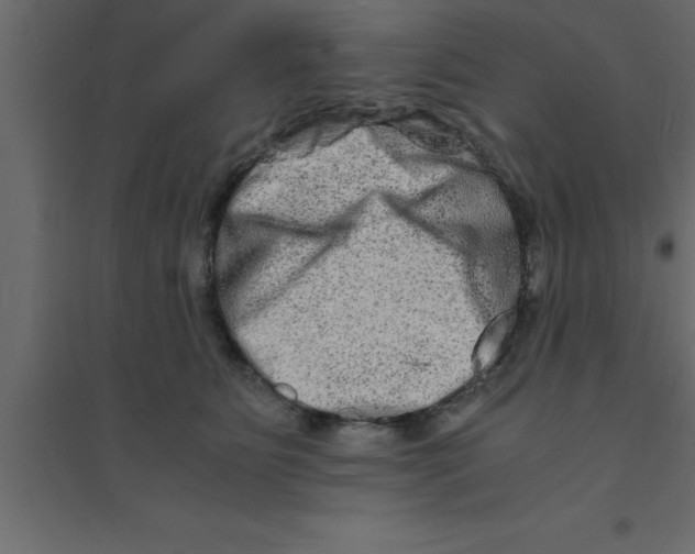 X0000094200515200711241640