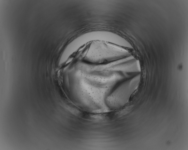 X0000094200516200711241640