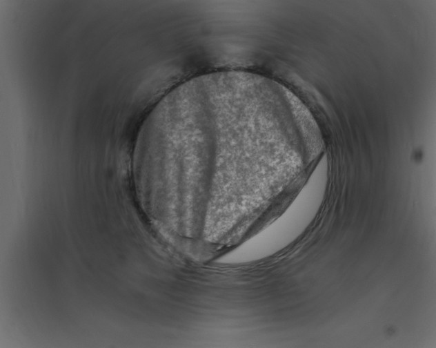 X0000094200517200711241640