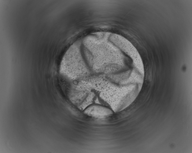 X0000094200518200711241640
