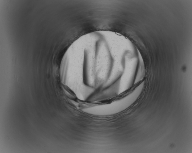 X0000094200521200711241640
