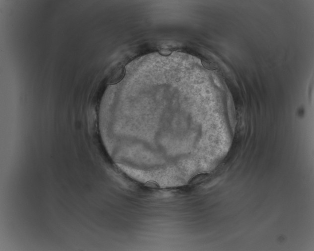 X0000094200523200711241640