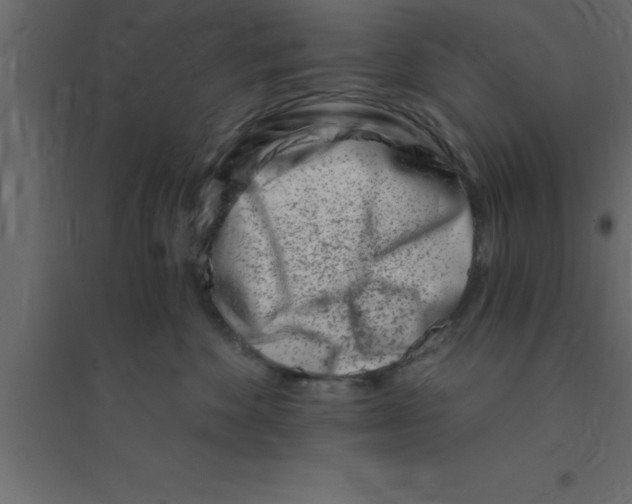 X0000094200524200711241640