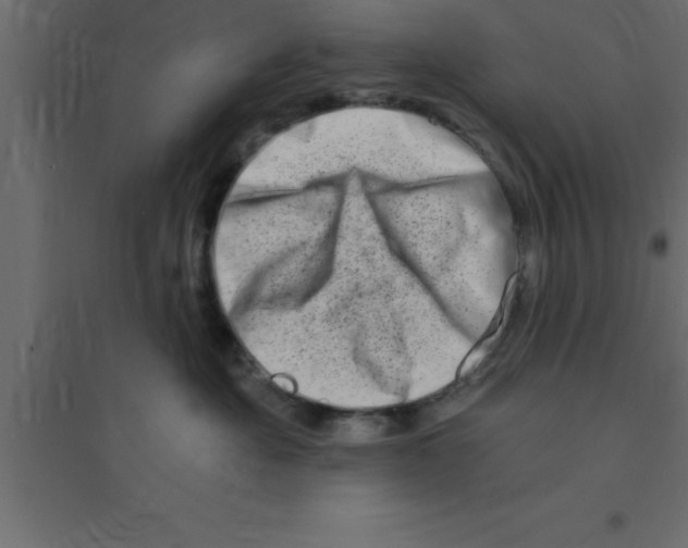 X0000094200525200711241640