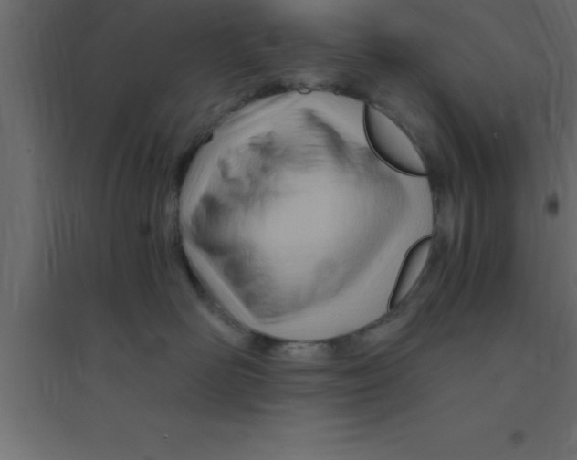 X0000094200526200711241640