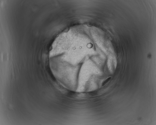 X0000094200527200711241640
