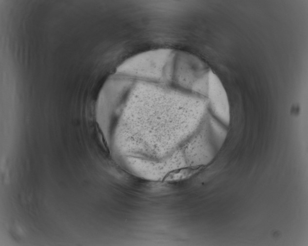 X0000094200528200711241640