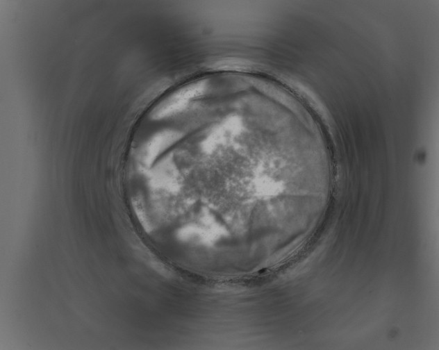X0000094200529200711241639