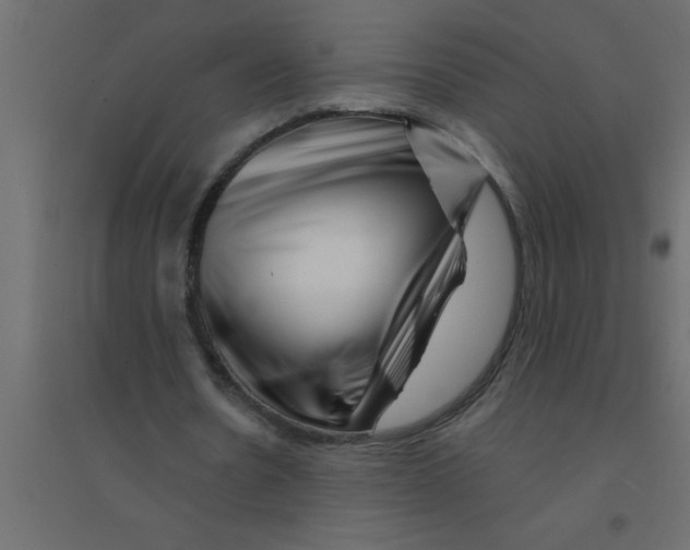 X0000094200530200711241639
