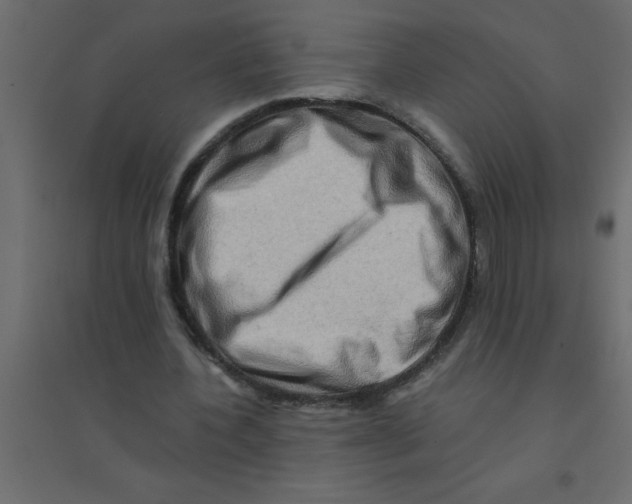 X0000094200532200711241639